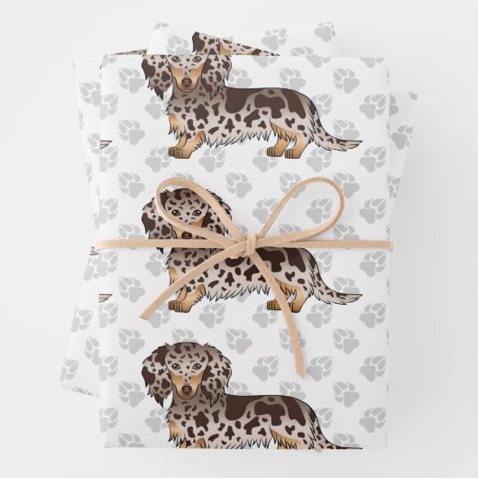 Schokolade & Tan Daple Long Hair Dackel & Paws Geschenkpapier Set (Beispiel)