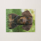 Schokolade und Dackel Puzzle (Horizontal)