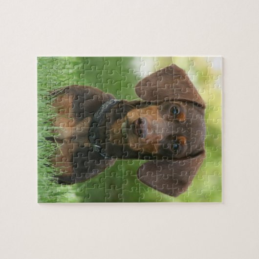 Schokolade und Dackel Puzzle (Horizontal)