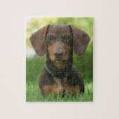 Schokolade und Dackel Puzzle (Vertikal)