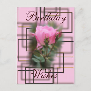 Schokolade- und Knockout-Rose Postkarte - anpassen