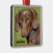 Schokolade und Tan-Dackel - Dackel Ornament Aus Metall (Rechts)