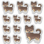 Schokolade und Tan Long Coat Chihuahua Hunde Aufkleber (Vorderseite)