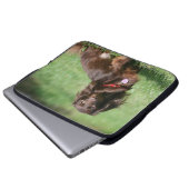 Schokolade und TANlanghaarige MiniaturDackel Laptopschutzhülle (Vorne Knopf)