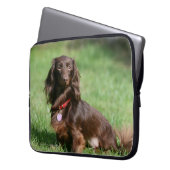 Schokolade und TANlanghaarige MiniaturDackel Laptopschutzhülle (Vorderseite Links)