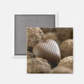 Schokolade unter anderen Schokoladen Magnet (Vorderseite/Rückseite)