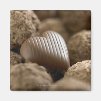 Schokolade unter anderen Schokoladen Magnet