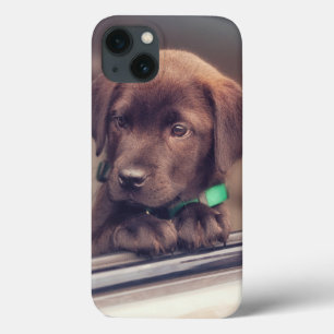 Schokolade-Welpe im Auto Case-Mate iPhone Hülle
