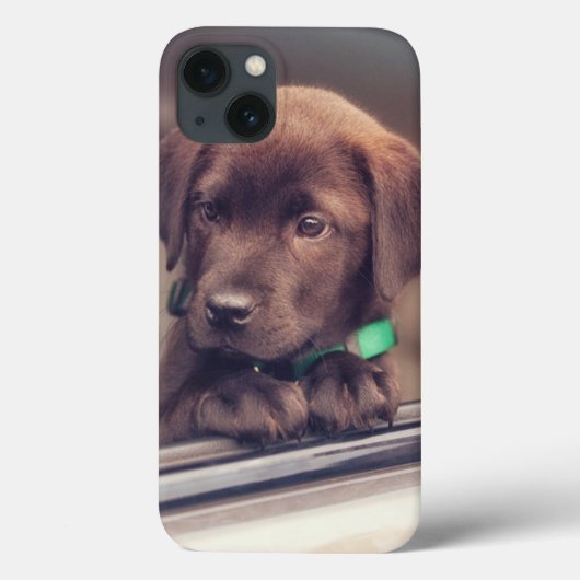 Schokolade-Welpe im Auto Case-Mate iPhone Hülle (Rückseite)