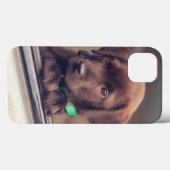 Schokolade-Welpe im Auto Case-Mate iPhone Hülle (Rückseite (Horizontal))