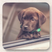 Schokolade-Welpe im Auto Getränkeuntersetzer (Vorderseite)
