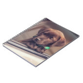 Schokolade-Welpe im Auto Notizblock (Linke Seite)