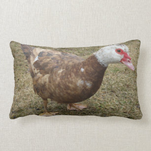 Schokolademuscovy-Enten-Wurfs-Kissen Lendenkissen