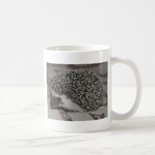 Schokoladen-Igelsbaby Kaffeetasse