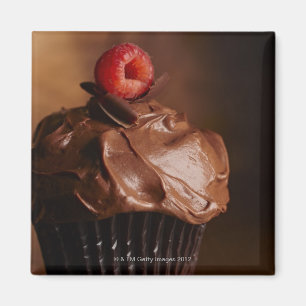 Schokoladen-kleiner Kuchen mit einer Himbeerspitze Magnet