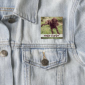 Schokoladen-Labrador, der in der Gras-Fotografie Button (Beispiel)