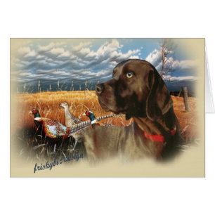 Schokoladen-Labrador eine Tagesjagd