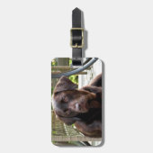 Schokoladen-Labrador Gepäckanhänger (Vorderseite vertikal)