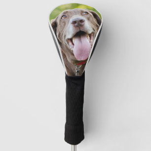 Schokoladen-Labrador-Hund Golf Headcover