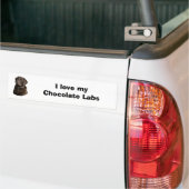Schokoladen-Labrador-HundeFotoporträt Autoaufkleber (Auf Lkw)