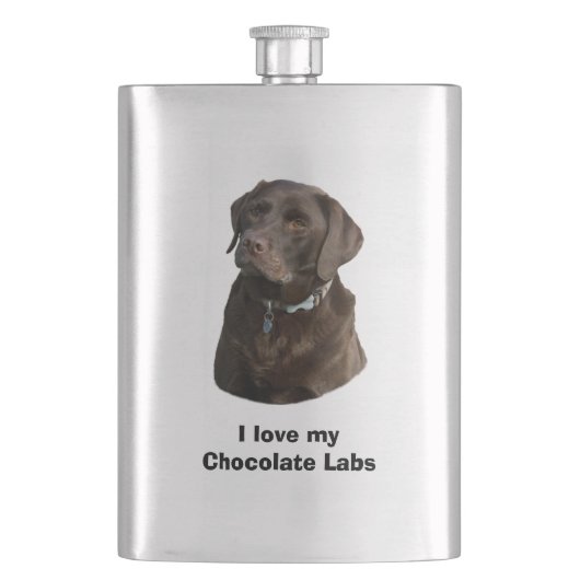 Schokoladen-Labrador-HundeFotoporträt Flachmann (Vorderseite)