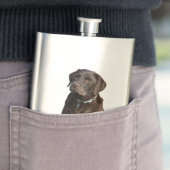 Schokoladen-Labrador-HundeFotoporträt Flachmann (Beispiel)