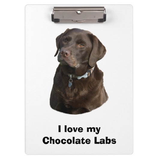 Schokoladen-Labrador-HundeFotoporträt Klemmbrett (Vorderseite)
