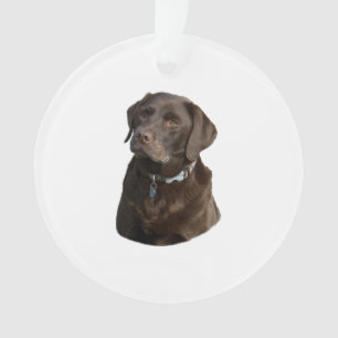 Schokoladen-Labrador-HundeFotoporträt Ornament