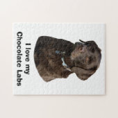 Schokoladen-Labrador-HundeFotoporträt Puzzle (Horizontal)