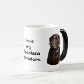 Schokoladen-Labrador-HundeFotoporträt Verwandlungstasse (VorderseiteRechts)