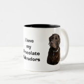 Schokoladen-Labrador-HundeFotoporträt Zweifarbige Tasse (VorderseiteRechts)