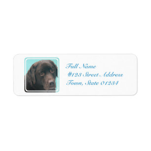Schokoladen-Labrador-Hundemailings-Aufkleber
