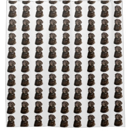 Schokoladen-Labrador-Hundemuster Duschvorhang