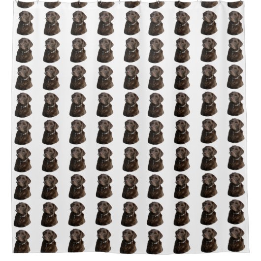 Schokoladen-Labrador-Hundemuster Duschvorhang (Vorderseite)