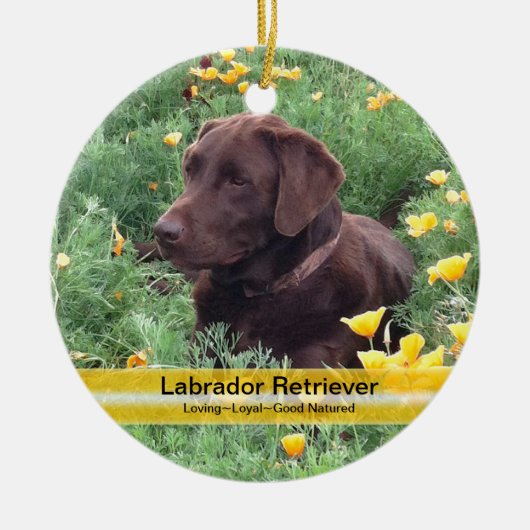 Schokoladen-Labrador im Keramikornament (Vorne)