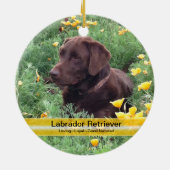 Schokoladen-Labrador im Keramikornament (Hinten)