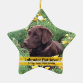 Schokoladen-Labrador im Keramikornament (Vorne)