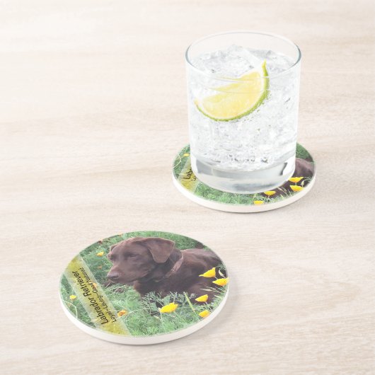 Schokoladen-Labrador im Sandstein Untersetzer (Seite)