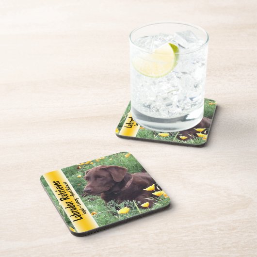 Schokoladen-Labrador im Untersetzer (Rechte Seite)