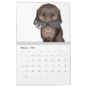 Schokoladen-Labrador-Kalender 2010 Kalender (Feb 2027)