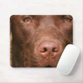 Schokoladen-Labrador-Mausunterlage Mousepad (Mit Mouse)