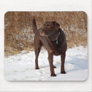 Schokoladen-Labrador Mousepad
