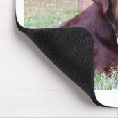 Schokoladen-Labrador Mousepad (Ecke)