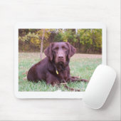 Schokoladen-Labrador Mousepad (Mit Mouse)