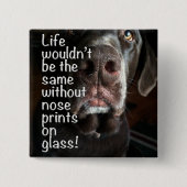 Schokoladen-Labrador-Nasen-nahe hohe Fotografie Button (Vorderseite)