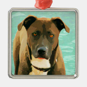 Schokoladen-Labrador Pitbull Mischung Pitador Ornament Aus Metall