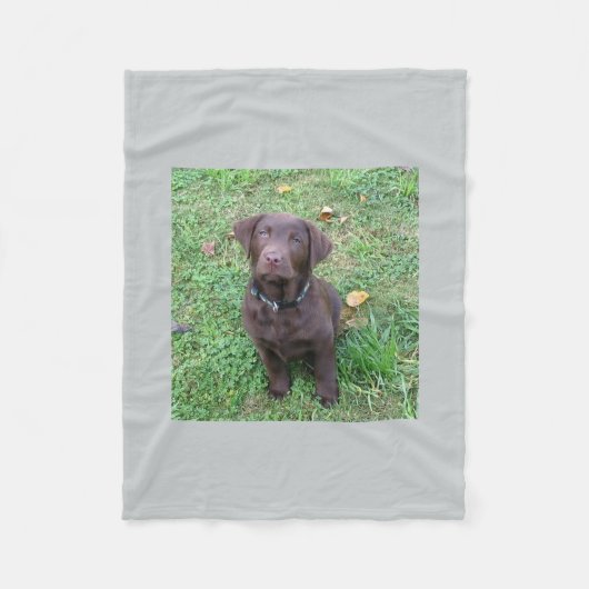 Schokoladen-Labrador pup.png Fleecedecke (Vorderseite)