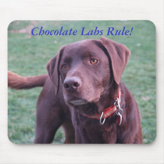Schokoladen-Labrador-Regel! Mousepad (Vorne)