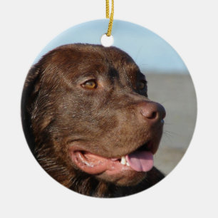 Schokoladen-Labrador retriever-Hundeverzierung Keramikornament