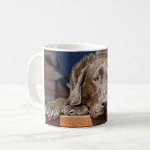 Schokoladen-Labrador-Retriever-Nahaufnahme-Foto Kaffeetasse (Vorderseite Links)